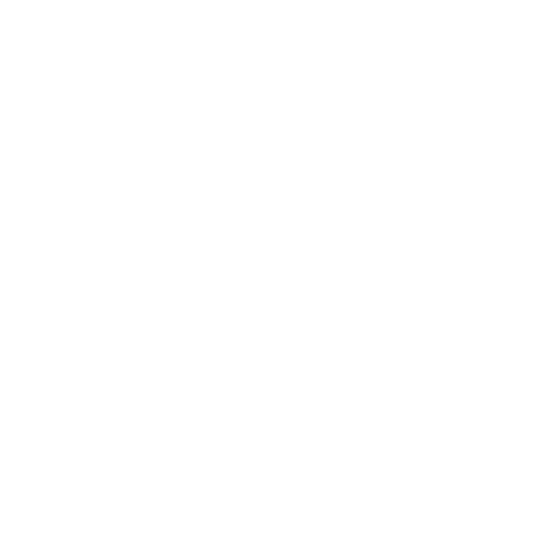 DV Consulting